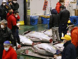 New Year tuna auction in Tokyo