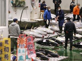 New Year tuna auction in Tokyo