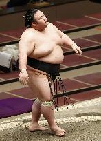 New Year Grand Sumo Tournament