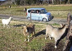 Drive-thru tour at animal park