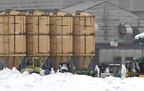 Bird flu outbreak in central Japan