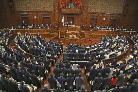 Japan lower house OKs 19 tril. yen extra budget