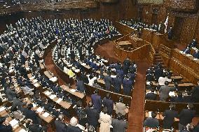 Japan lower house OKs 19 tril. yen extra budget