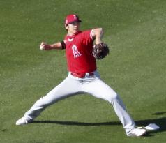 Baseball: Angels spring training