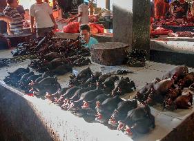 Roasted bats in Indonesia