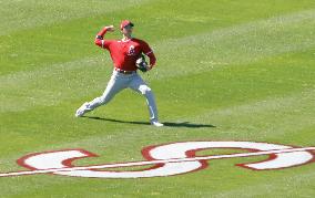 Baseball: Angels spring training