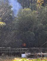 Wildfire in eastern Japan