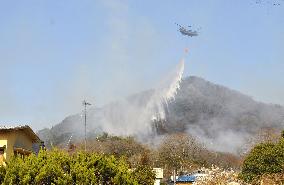 Wildfire in eastern Japan