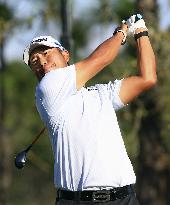 Golf: Workday Championship