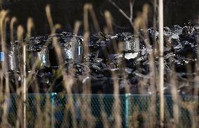 10 years after March 2011 Great East Japan Earthquake