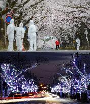 10 years after Great East Japan Earthquake