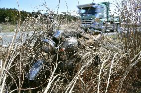 10 years after Great East Japan Earthquake