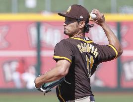 Baseball: MLB spring training