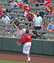 Baseball: MLB spring training