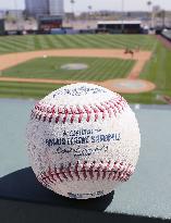 Baseball: New ball for 2021 season