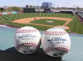 Baseball: New ball for 2021 season