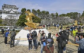 Golden "shachihoko" statues at Nagoya Castle