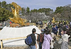 Golden "shachihoko" statues at Nagoya Castle