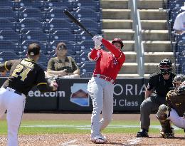 Baseball: MLB spring training