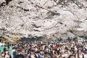 Ueno Park