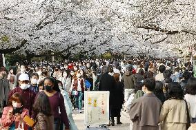 Ueno Park