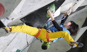 Sport climbing: Lead Japan Cup