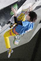 Sport climbing: Lead Japan Cup