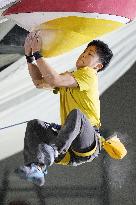 Sport climbing: Lead Japan Cup
