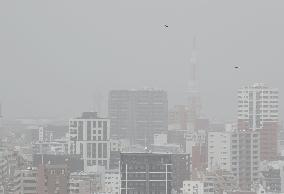 Yellow dust phenomenon in Japan
