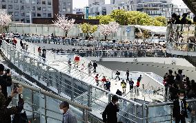 Tokyo Olympic torch relay