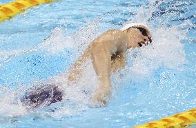 Swimming: National championships, final Olympic qualifier