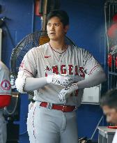 Baseball: Angels vs. Blue Jays