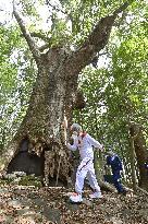 Tokyo Olympic torch relay