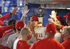 Baseball: Angels vs. Blue Jays