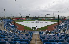 Baseball: TD Ballpark in Dunedin, Florida
