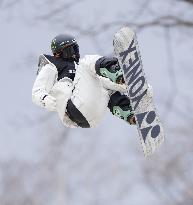 Snowboarding: Japanese national halfpipe c'ships