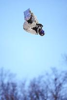 Snowboarding: Japanese national halfpipe c'ships