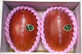 Mangoes from southwestern Japan