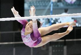 Gymnastics: national championships