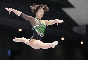 Gymnastics: national championships