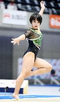 Gymnastics: national championships