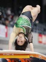 Gymnastics: national championships