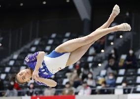 Gymnastics: national championships