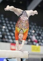 Gymnastics: national championships