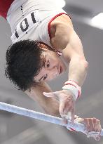 Gymnastics: Japanese national championships