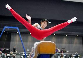 Gymnastics: Japanese national championships