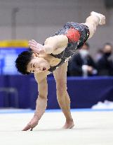 Gymnastics: Japanese national championships