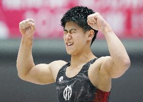 Gymnastics: Japanese national championships