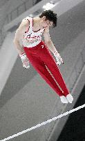 Gymnastics: Japanese national championships