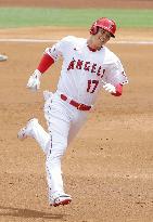 Baseball: Rangers vs. Angels